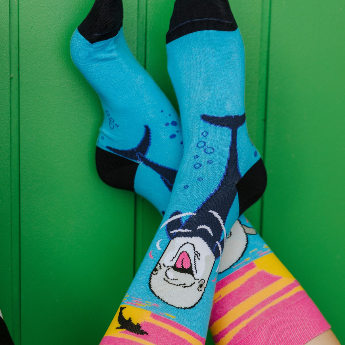 Dolphins Cotton Socks