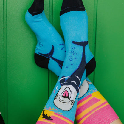 Dolphins Cotton Socks