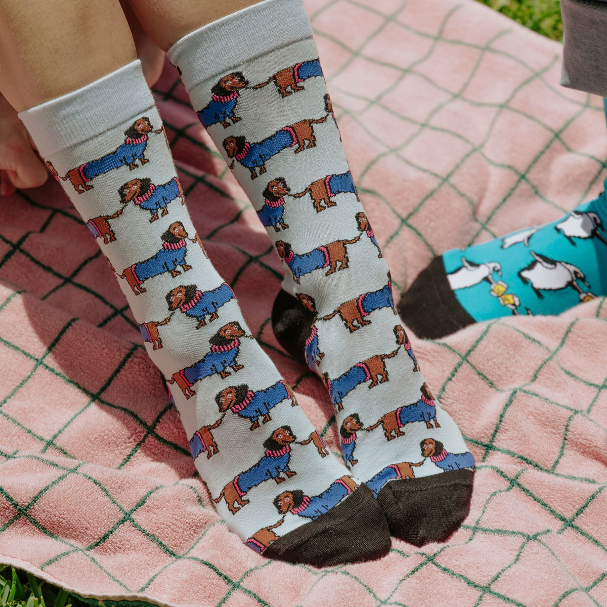 Posh Bean Cotton Socks