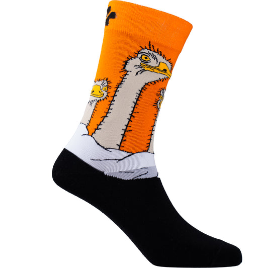 Big Bird Cotton Socks