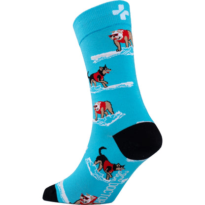 Hang 10 Cotton Socks